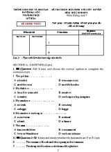 Đề thi chọn học sinh giỏi cấp huyện môn Tiếng Anh Lớp 7 - Năm học 2018-2019 - Trường THCS Mỹ Hòa